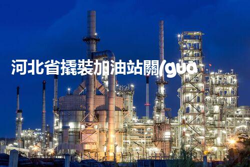 河北省撬裝加油站關(guān)鍵技術(shù)突破！化工廠拆除工程的新方法探索？